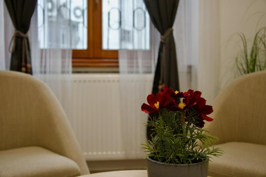 Standard Apartment By Hi5- Podmaniczky Street ブダペスト エクステリア 写真